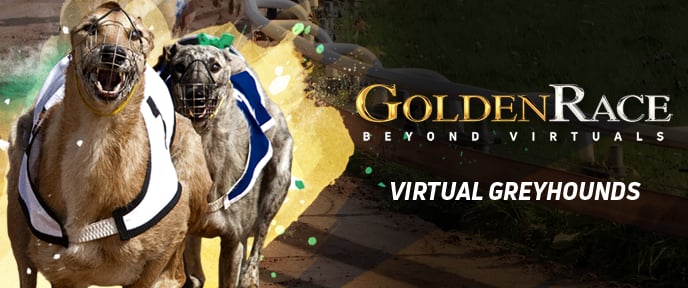 Dog 6