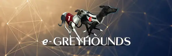 e-Greyhounds
