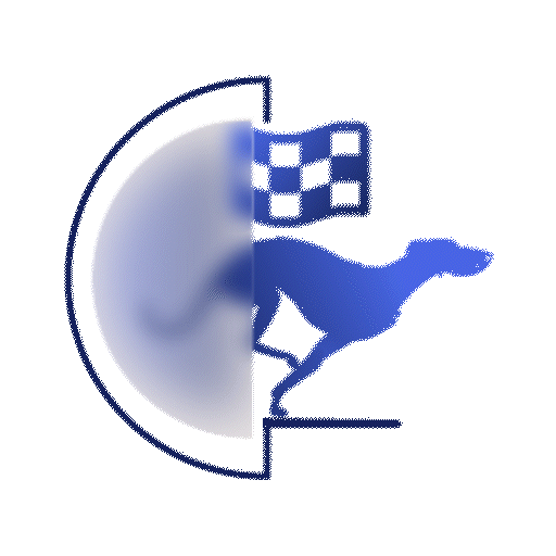 Virtual Sport